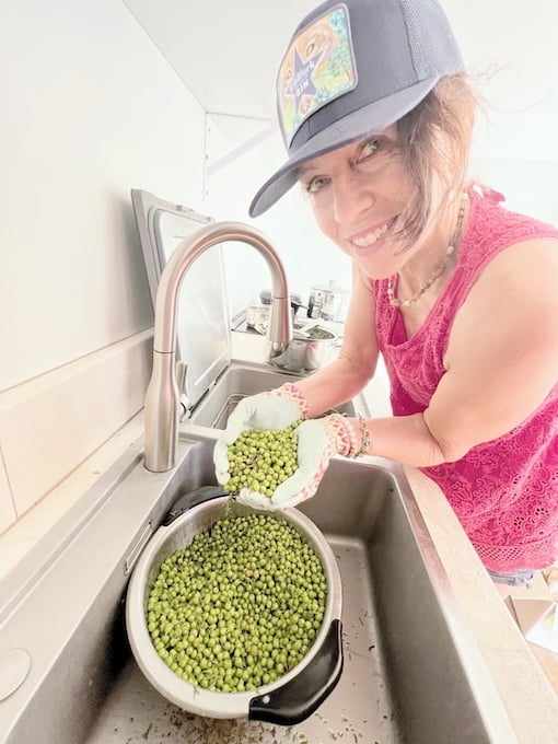 Smiling woman wearing gloves and a WildBark hat rinses freshly foraged green juniper berries in a kitchen sink.