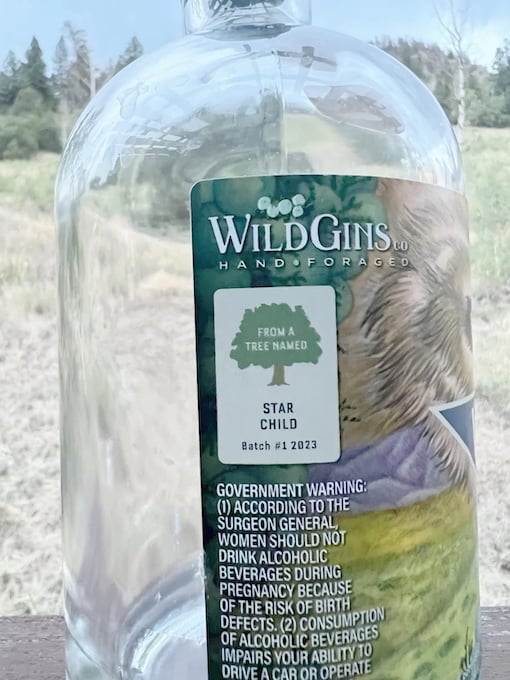 Clear WildGins bottle labeled “Star Child – Batch #1 2023,” photographed outdoors with a soft, natural landscape in the background.