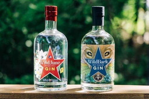Two WildGins bottles—Wild June Western Style Gin and WildBark West Texas Dry Gin—displayed side by side on a wooden surface with lush green foliage behind them.