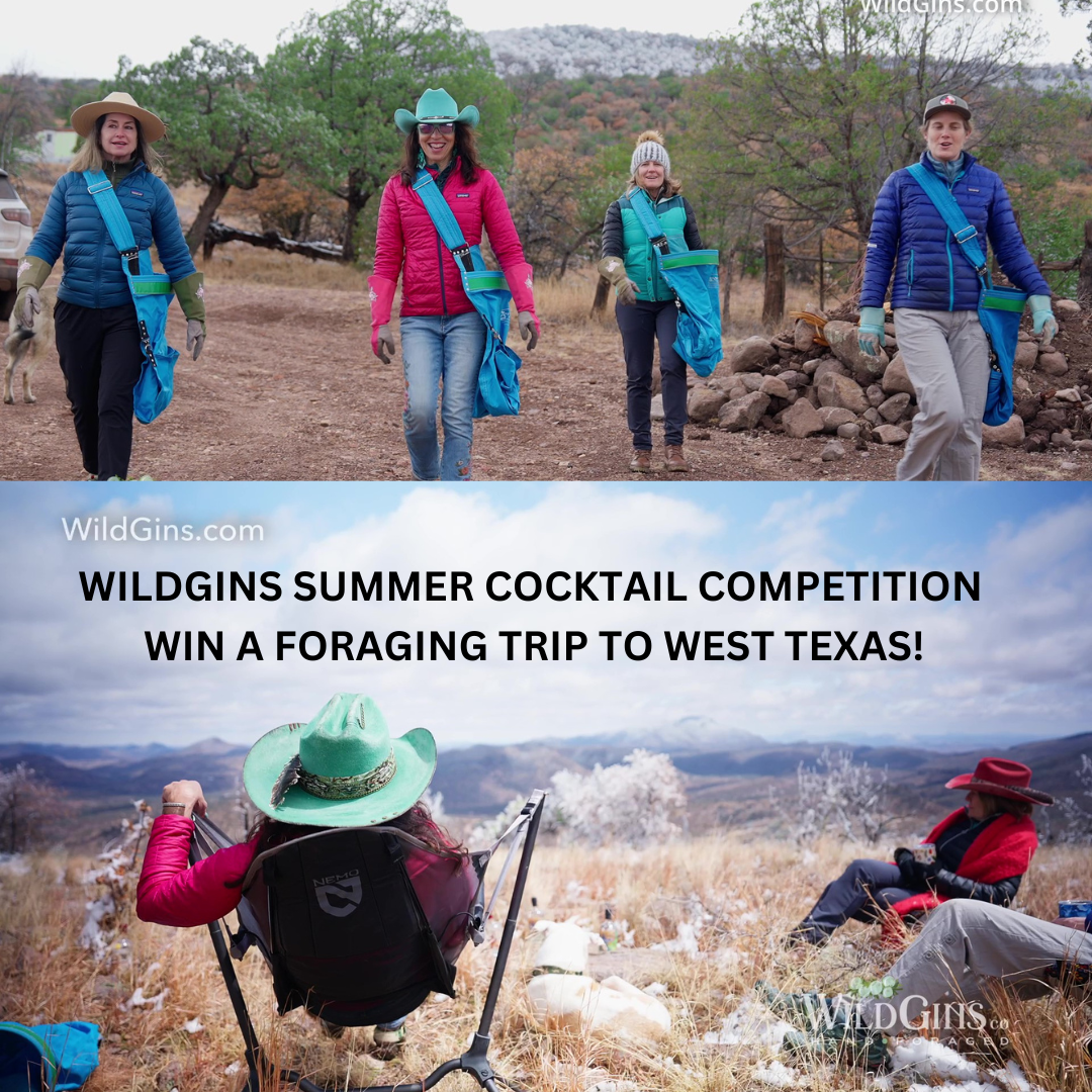 WinAForagingTrip